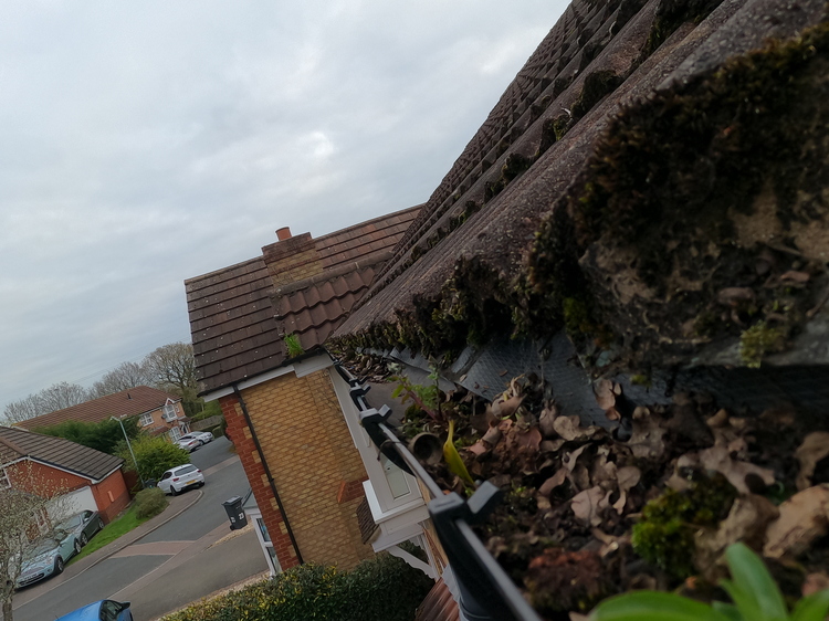 Gutter blocked with moss, leaves and weeds before professional cleaning in Sutton Coldfield