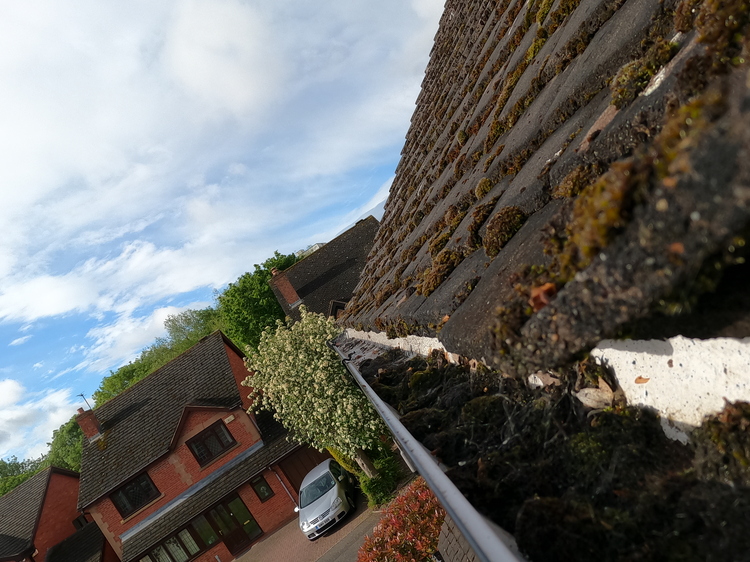 Gutter heavily blocked with moss before professional cleaning in Walmley, Sutton Coldfield