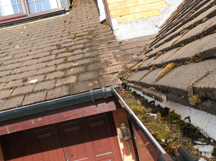 Gutter blocked with moss and weeds before professional cleaning in Walmley, Sutton Coldfield
